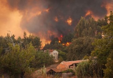 forest fires