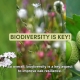 Oak Resilience documentary