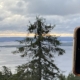 scenery of Koli Finland