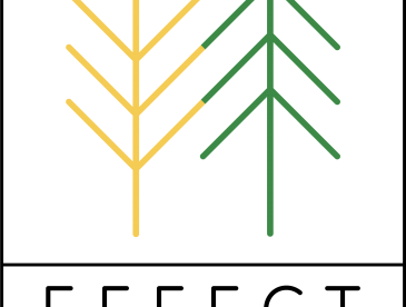 project logo