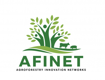 afinet logo